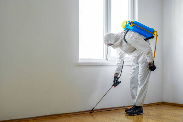 Best Emergency Pest Control  in Trevorton, PA