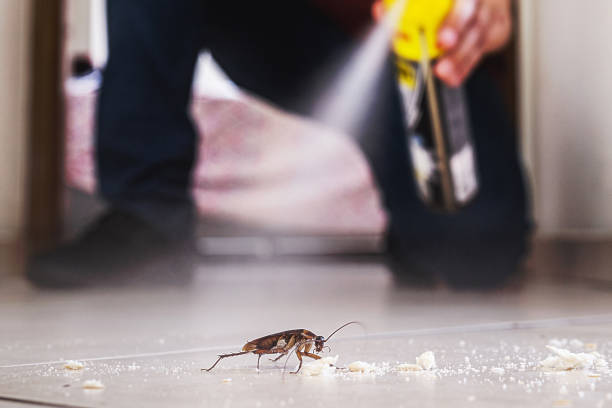 Best Local Pest Control Services  in Trevorton, PA