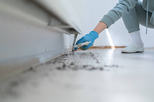 Best Affordable Pest Control Services  in Trevorton, PA